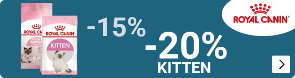 Royal Canin kitten klein en grootverpakkingen 15 20% CAT (voor deze ook een Super Sale variant maken incl Home page)